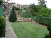 Položený kobercový trávník na zahradě